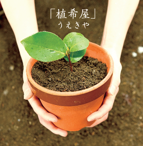 植希屋